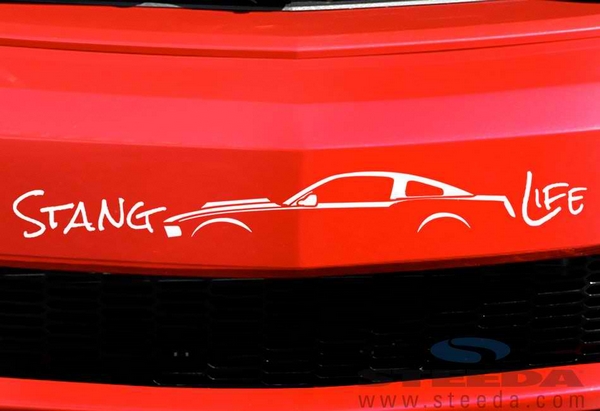 Stang Life Decal - White (10-14 All)